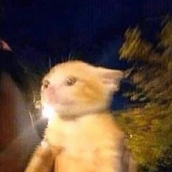 Meet your Posher, Michael - Picture 1 of 1